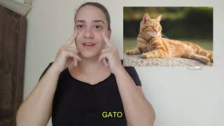 Atividade de libras - Eixo Natureza e Sociedade