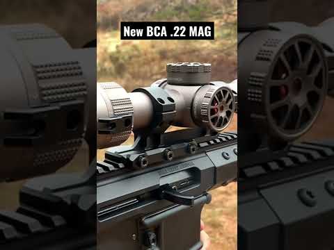 BCA .22 Mag #shorts