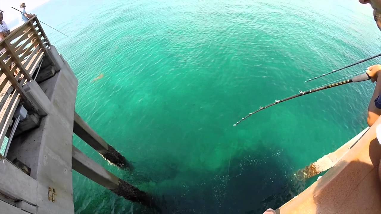 Snook Fishing Juno Beach Pier! Summer 2K15! 