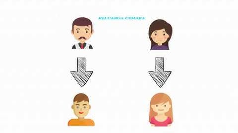 Cara membuat Program sederhana menggunakan method Inheritance dan Polymorphism di Netbeans