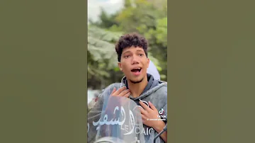 مهرجان ماشي بقزازه في كيسه سمراء واطلع في اشاره حمراء شقاوة 