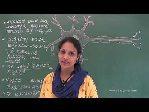 SSLC - SCIENCE - NIYANTRANA MATTU SAHABAGITHVA - PART 2 - ನಿಯಂತ್ರಣ ಮತ್ತು ಸಹಭಾಗಿತ್ವ