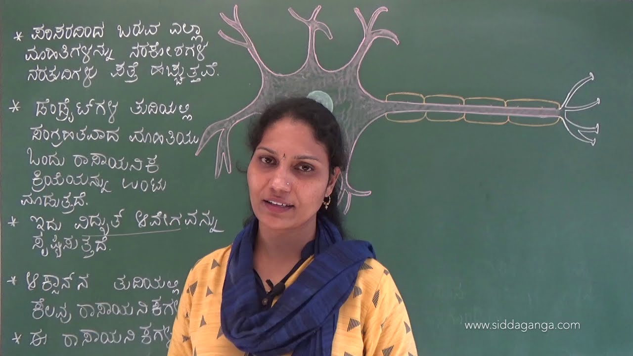 SSLC - SCIENCE - NIYANTRANA MATTU SAHABAGITHVA - PART 2 - ನಿಯಂತ್ರಣ ಮತ್ತು ಸಹಭಾಗಿತ್ವ
