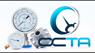 Pressure Gauge and Diaphragm Seals [OCTA Instrument]
