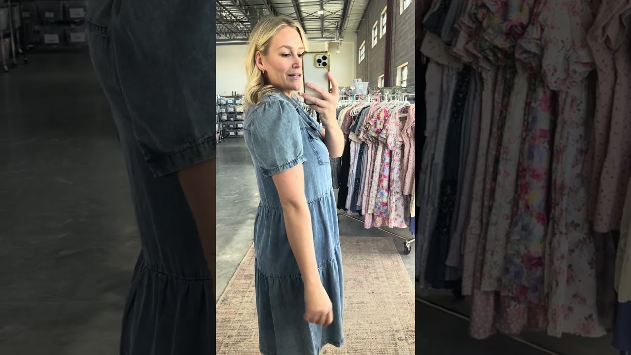 Hudson Chambray Dress