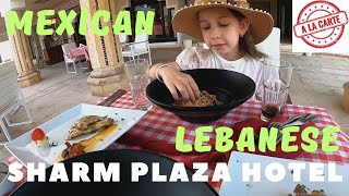 видео: Ливанский и Мексиканский Рестораны в Отеле SHARM PLAZA, А-Ля Карт в Шарм Плаза#hotel#trave#vlog#влог картинка: Ливанский и Мексиканский Рестораны в Отеле SHARM PLAZA, А-Ля Карт в Шарм Плаза#hotel#trave#vlog#влог