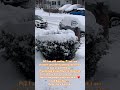 Pt. 2 Journey to the Land Still Venting ‼️🤣 #Snow #Storm #Journeytotheland #time2go #funny #az #NYS
