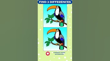 Spot 3  Differences! #131