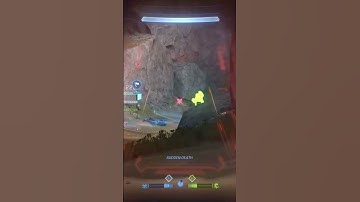 How to stop a flag run 🤷🏾‍♂️