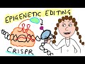 Can we edit the epigenome?