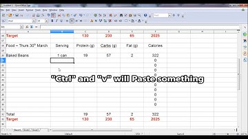 Calorie Counting in Excel - Tutorial