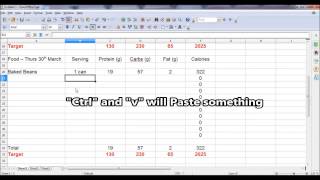 Calorie Counting in Excel - Tutorial screenshot 2