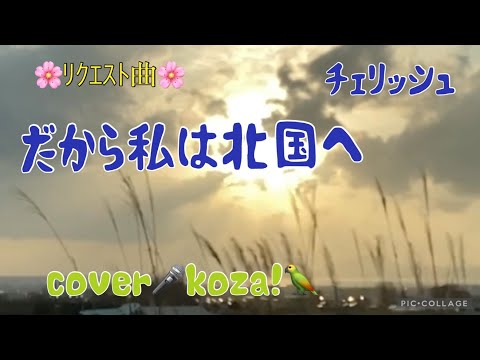 23'🌸ﾘｸｴｽﾄ曲🌸だから私は北国へ✈️  チェリッシュ　cover🎤koza！