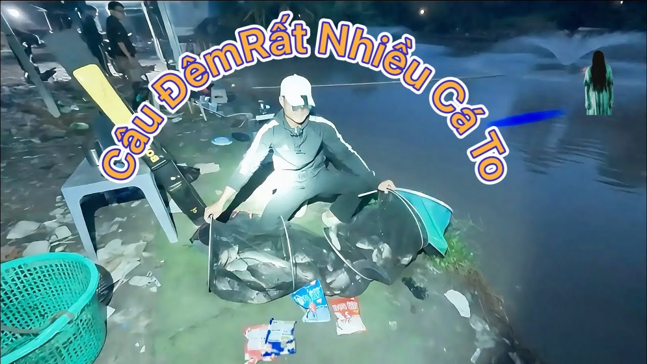 ✅: Câu Cá hồ siêu tạp “Ngọc Tâm” điểm câu cá đêm rất nhiều cá to | VinhVlog