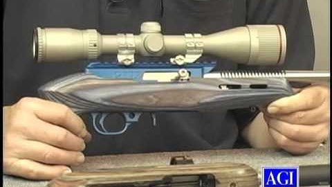 Build a Custom Ruger 10/22 Rifle AGI 345