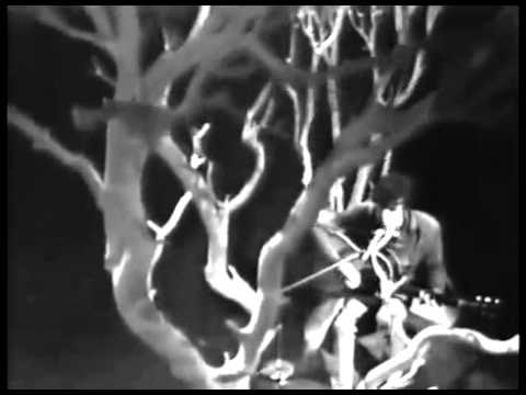Donovan - Catch The Wind