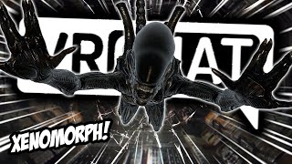 The Alien Hunts Everyone In Vrchat Alien Earth Vrchat Funny Moments