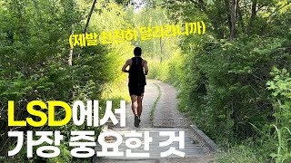 LSD 달리기, 천천히 달리는 게 핵심이다 [강동구에서 성수동까지 달린 날]