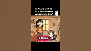 [VIE] Đâu Là 3 Báo Hiệu Để Ông Bà Biết Em Mèo Đang Suy Giảm Miễn Dịch? 🙀 #meo #chamsocmeo #pussoul
