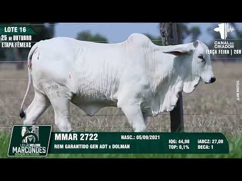 LOTE 16 MMAR 2722