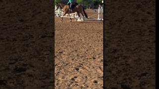 IMG 1730