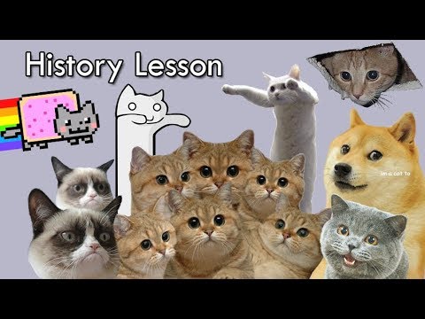 animal-memes-history-lesson