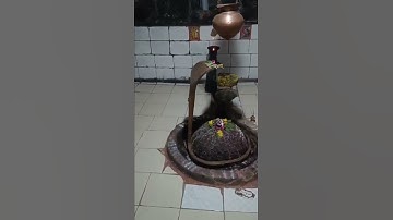 Mahakal mandir #status Mahakal Aarti #status Mahadev #status #bholenath #shiv #shankar bhole bhagwan