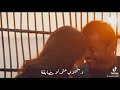 شوف ازاي جميله وانتي كده رايقه عمرو دياب شوف ازاي جميله وانتي كده رايقه عمرو دياب