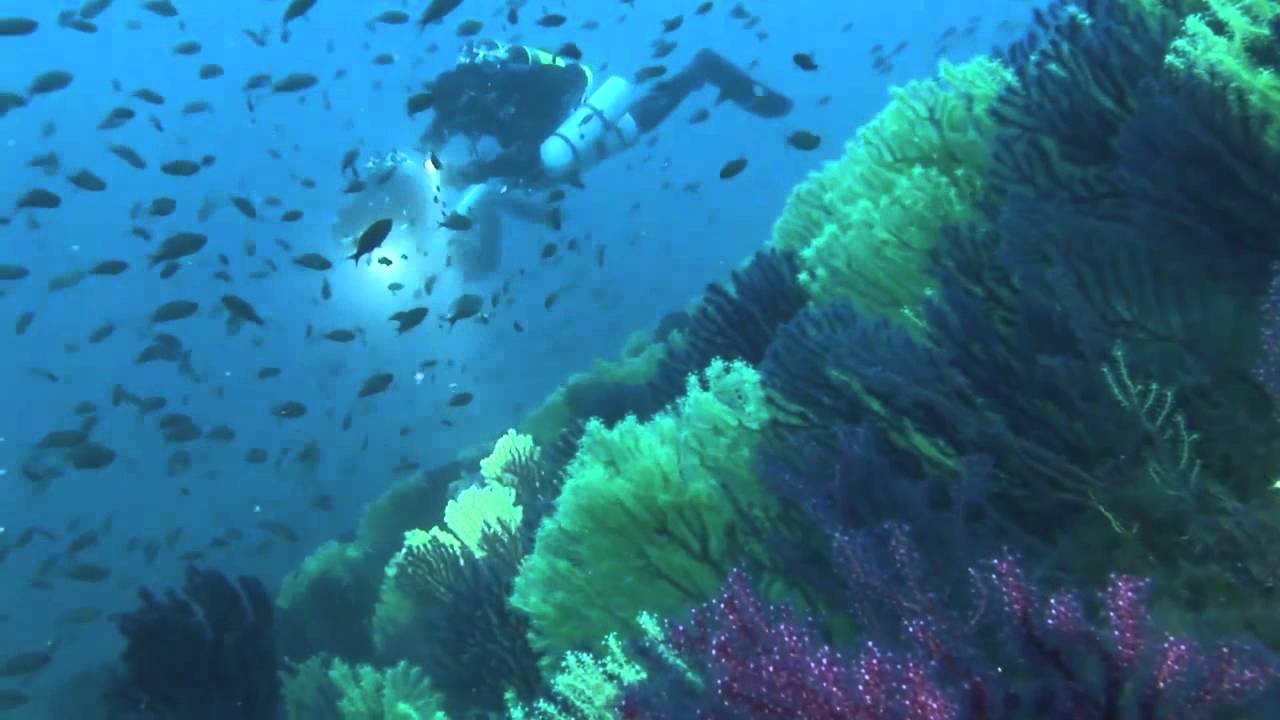 Wracktauchen Sardinien Loredan YouTube