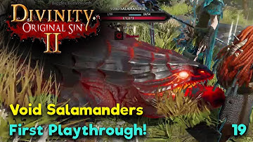 Void Salamanders - Divinity Original Sin 2 - Multiplayer Gameplay