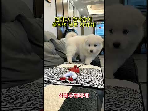 엄마야! 얘가 움직여!