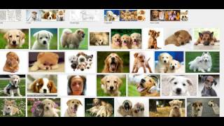 Use a computer without a mouse screenshot 5