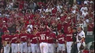The Hogs are Going to Omaha