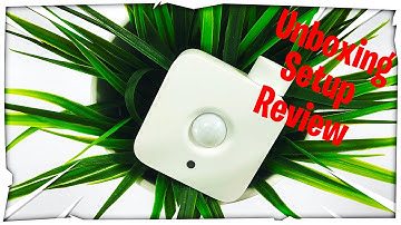 Philips Hue Motion Sensor Setup in 2020