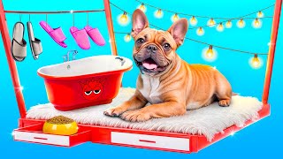 We Build a Secret Room for Pets!
Subscribe Here: https://www.youtube.com/channel/UCsve24GRCjZuX0PmA_L3FyA?sub_confirmation=1
Don’t forget to turn on notifications, like & subscribe! We Build a Secret Room for Pets!