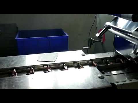 Coding with Rynan Thermal Inkjet Printer On Flow Wrap