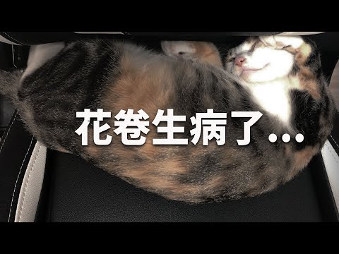 【報告】花卷生病了...[NyoNyoTV妞妞TV]