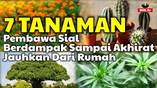 7 TANAMAN PEMBAWA SIAL YANG MASIH SAJA DITANAM MENURUT ISLAM