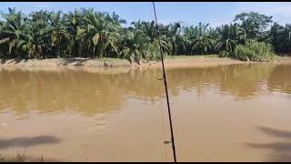 Port Memancing Di Batang Berjuntai  Ijok