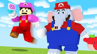 【マイクラ】マリオワンダーのアイテムが使える世界でサバイバル！