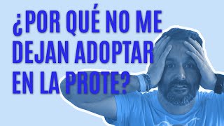 🐶 🐱 Requisitos para ADOPTAR UN PERRO en la protectora de animales | Por qué te lo ponen tan difícil