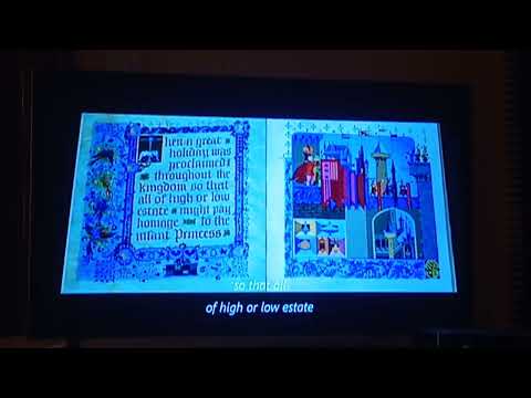 Retake Sleeping Beauty Intro