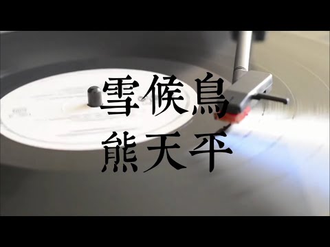 雪候鳥/熊天平