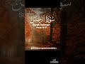 Verse 36-47  Surah Rahman Urdu translation ❤️.....@the-divine-revelation #quran  #peace
