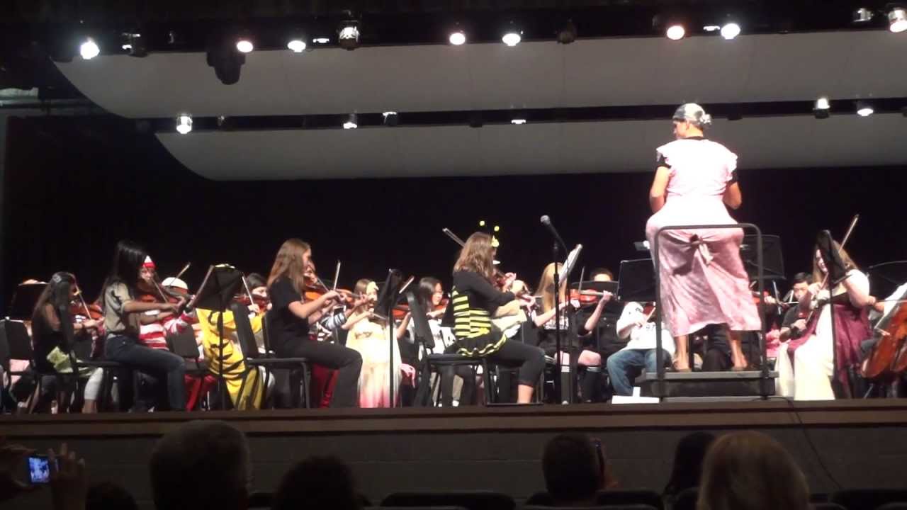 Watch Amela Fall EK Concert on YouTube Watch Amela Fall EK Concert on YouTube