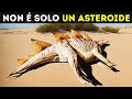 I Dinosauri Erano Condannati già Prima dell'Estinzione