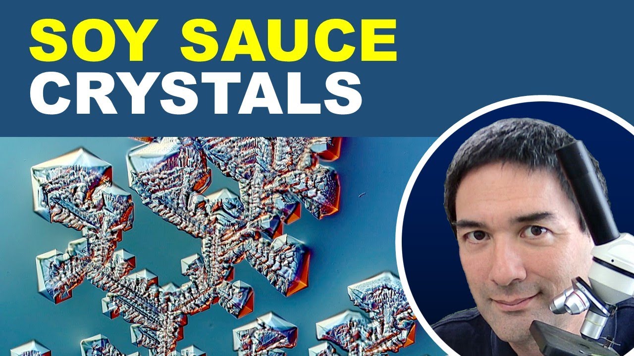 🔬 How to Grow Crystals from Soy Sauce