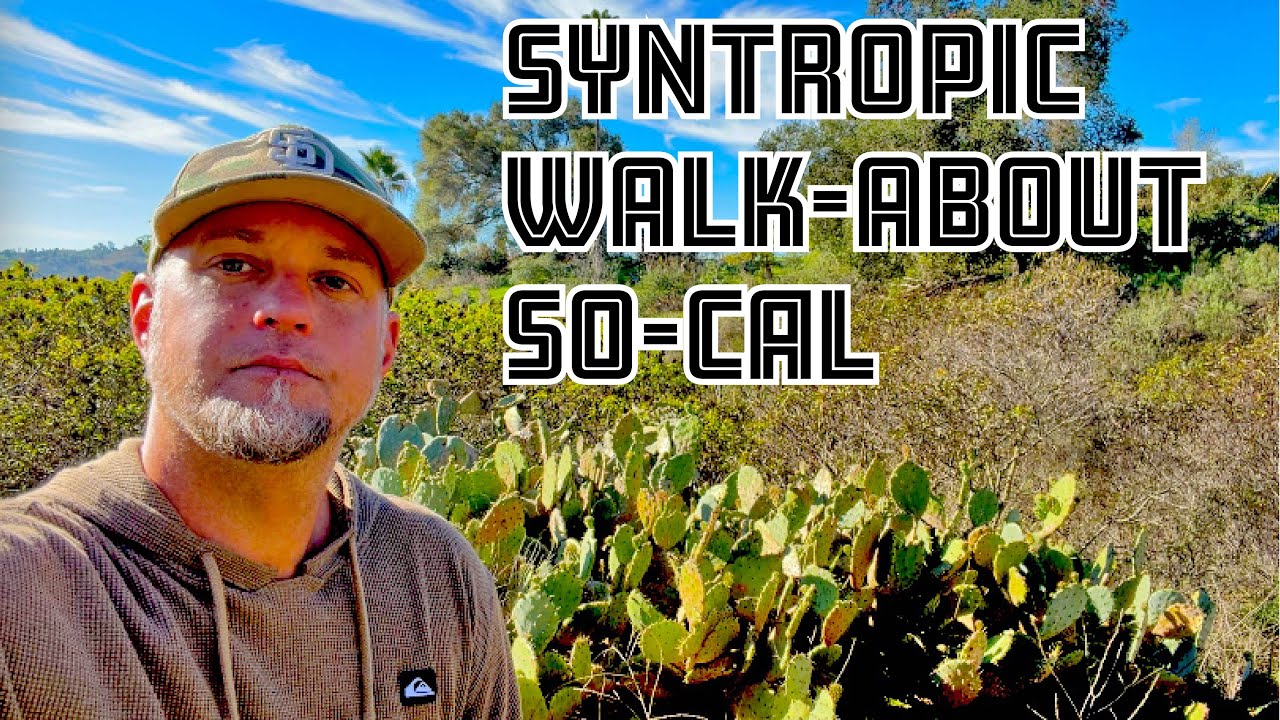 Синтропическая прогулка на природе в Южной Калифорнии. Поддержка растений. Пассивный труд.