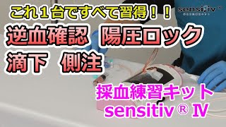 8-8440-31 採血静注練習キット sensitiv®IV 本体 KCC-B19-00 【AXEL