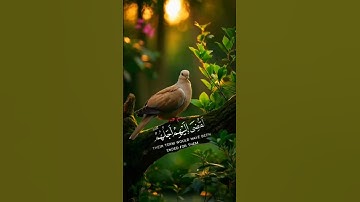 ولو يعجل الله للناس الشر إستعجالهم بالخير /سورة يونس/ القارئ عبدالرحمن مسعد #quran #راحة_نفسية